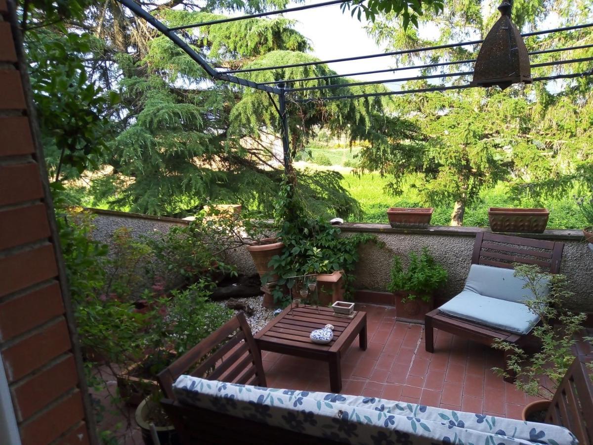 B&B La Gallinella Rossa Baschi Экстерьер фото