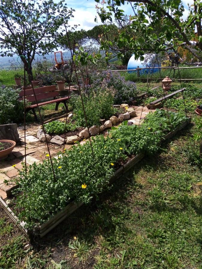 B&B La Gallinella Rossa Baschi Экстерьер фото