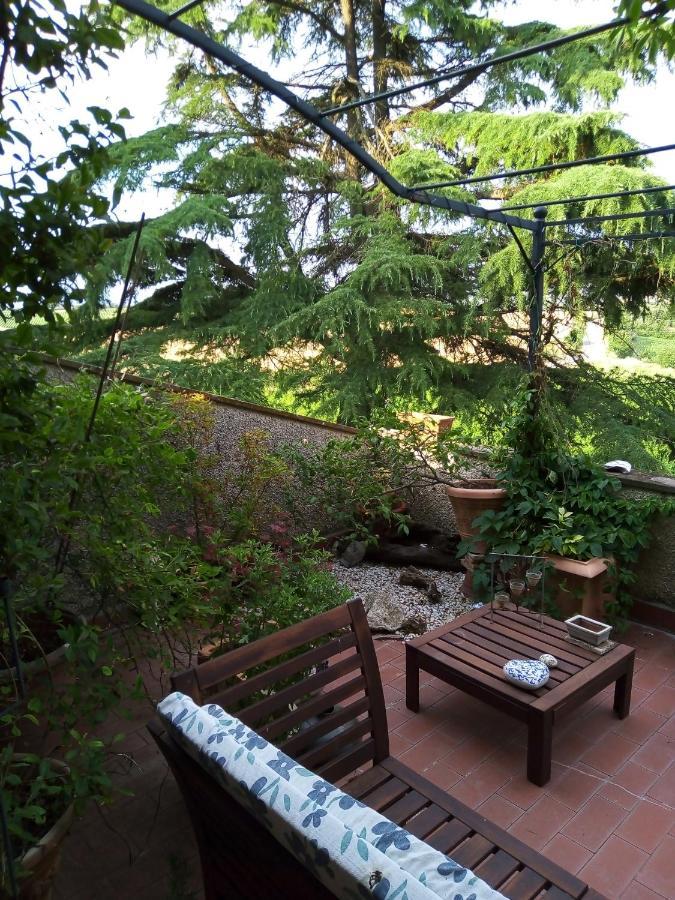 B&B La Gallinella Rossa Baschi Экстерьер фото