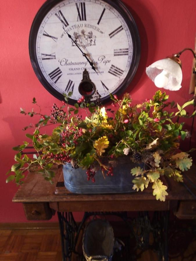 B&B La Gallinella Rossa Baschi Экстерьер фото