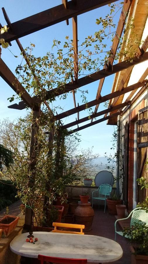 B&B La Gallinella Rossa Baschi Экстерьер фото