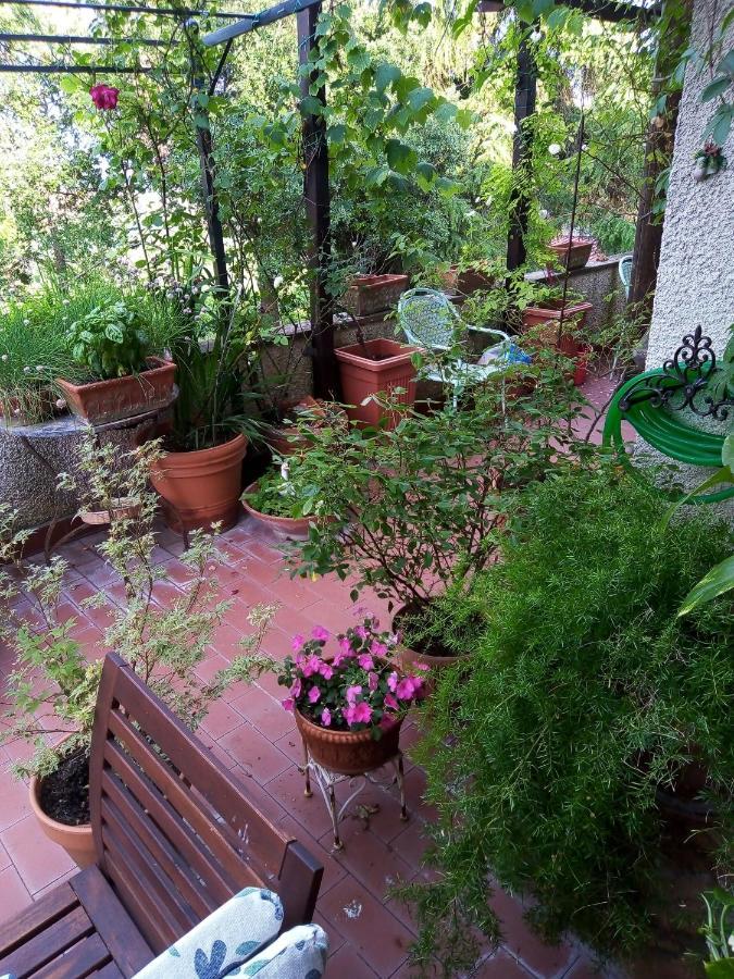 B&B La Gallinella Rossa Baschi Экстерьер фото