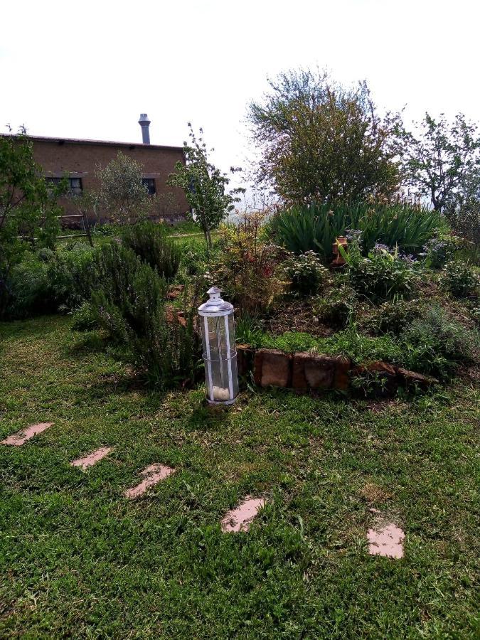 B&B La Gallinella Rossa Baschi Экстерьер фото